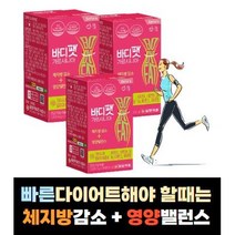 체지방 감소 살빼는데 도움되는 다이어트 도움되는 에너지 비타민 가르시니아 식약처인증 다이어트 보조제 체지방빼기 허벅지살 아랫뱃살 옆구리살 체중 빼기 빼는 법, 4통