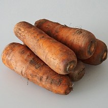 더싱싱 [당일수확]국내산 친환경 무농약 당근 1kg, BQ 당근 1kg