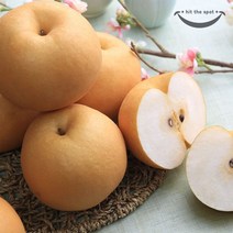 농협 농협 햇살담은 알뜰 천안신고배 5kg, 단일옵션
