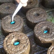 볍씨 모종 발아기 종자 이식기지피 이탄 펠릿 5 개 45mm 묘목 토양 블록 시작 플러그 씨앗 스타터 팔레트, 한개옵션0