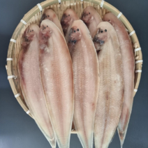 대신농수산 군산 반건조 박대 33~35cm 5마리 (1마리 1팩 포장), 5팩 (1마리 1팩)