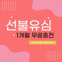 선불폰 선불유심 미납자개통 연체자개통 신용불량자개통 무료충전 당일개통 아띠모바일, [SK] 안심300(무료충전), 카톡채널(@아띠모바일)로 개통신청