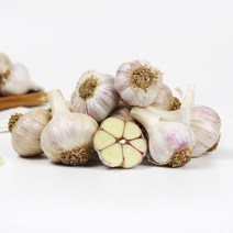 (23년산) 서산농부의 서산 6쪽마늘 3cm-3.5cm(한접/100통) 육쪽마늘 한지형마늘 서산마늘 토종마늘 햇마늘 씨마늘x, 100개