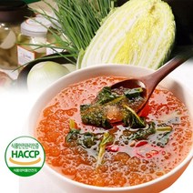 열우물 열무 물김치 2.25kg(450gx5팩)/맛있는 물김치 이정식품 해썹인증안전먹거리, 2.25kg(450gx5팩), 1개