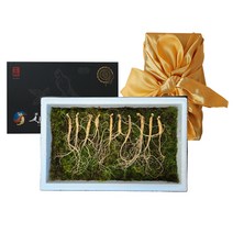 삼삼삼 산삼 산양삼 산양산삼 장뇌삼 장뇌산삼, 5년근 작은삼 20뿌리, 1개