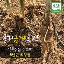 풍기금계인삼 풍기인삼 수삼 난발삼 5년근 햇수삼(인삼) 1채(750g), 1box, 난발햇수삼 9-10뿌리(세척안함)