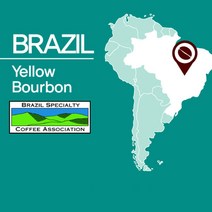 브라질 옐로우 버본 원두커피 200g(SROC061FC0200A01), 단품, 추가구성:05.곱게분쇄/가정용에스프레소/모카포트(M)