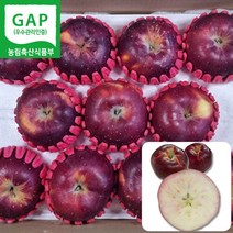 GAP 친환경 저탄소인증 산지직송 경북 영주 엔부사과 속빨간 사과 5kg (10과이내), 단품