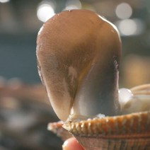 [명품] 천수만 여수 자이언트 명품 손질새조개 200g /500g, 03.500g, 1개
