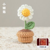 코바늘 해바라기 꽃 화분 토분 토기 DIY 뜨기 초보, 데이지 + 선물 상자