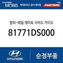 범퍼-테일 게이트 사이드 가이드 (81771DS000) 제네시스 GV70 전기차