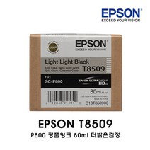 [엡손스토어] 엡손 T8509 밝은회색 라이트라이트블랙 (EPSON SC-P800), 1개