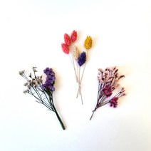 포장용 프리저브드/드라이 프리저브드 플라워 청첩장 답례품 선물 포장, 잎안개(화이트)_3ea