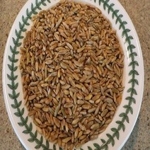 호라산밀 국내산 혈당 당뇨에좋은쌀 다이어트 이집트쌀 1kg, 국내산호라산밀1kg
