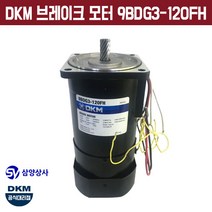 DKM 브레이크 모터 9BDG3-120FH 삼상 220V 18파이 감속기타입 Brake motor