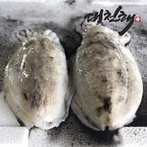 대천해 손질 통오징어 6미(2미 X 3팩)