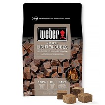 웨버 네추럴 라이터큐브 숯 점화제 48p, 600g, 5개