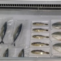 FRP 생선 물고기 마트 포장 해산물 모형 전시 음식 조형물 제작 업체 헤파이스토스웍스, 요청 디자인 가능