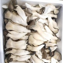 느타리버섯 특품 1kg, 단품, 단품