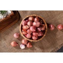 수입모충 샬론 작은양파 10KG (작은사이즈)