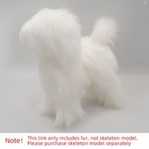 강아지 독 위그 털 전용 뷰티 연습 스탠다드 비숑 인조 미용 트리밍 연습용 골격과 함께 사용, White_Bichon Fake Hair