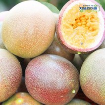 (인빌푸드)고성 백향과 중대과 1kg(12과전후), 단품
