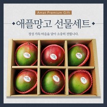 설 명절 프리미엄 애플망고 6과 3kg내외 선물세트