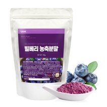 [갑당약초] 빌베리 농축분말 150g, 2개