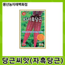 KS자흑당근 500립/자흑색으로 맛 좋고 몸에 좋은 웰빙 당근 씨앗