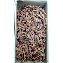 진성수산 최상급 남해안 꼴뚜기 햇 건꼴뚜기 국산 1.5kg