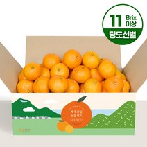 제주 중문농협 하우스 감귤 2.5kg (11Brix이상)