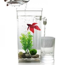 물멍 자동 청소 어항 금붕어 구피 해수어 베타 키우기해파리키우기 거북이키우기 물고기키우기 네모난수족관 관상용새우 마리모 나비비파 구유조명 어항물갈이 어항여과기