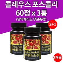 콜레우스 포스콜리 포스콜린 추출물 정 환 타블렛 알약 모양 60정 3병 3개월 대용량