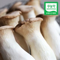 무농약 장흥 새송이버섯 상품(구이용) 2kg, 옵션:새송이버섯 상품 2kg