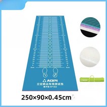 제자리멀리뛰기 매트 체력측정 체력장 체육 학교 훈련, 성인모델-블루 AP-933