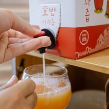 넉넉한사람들 호랑이도 반한 사과즙 3L 199668