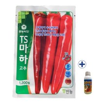2023 고추종자 TS마하 1200립 씨앗 + 고추칼슘500ml 농사친구, 1200립+고추칼슘500ml