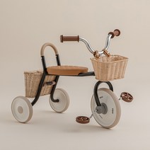 Kidpop 아카데미 에디션 바구니 보조가방 달린 자전거 세발 자전거, 앞뒤 바구니, 블랙