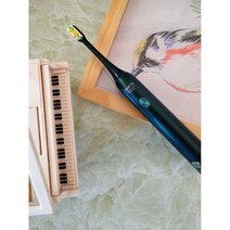 X3U 전동칫솔 Soushi 음파 전동 칫솔 셋트 부드러운, D2 살균전동칫솔-인디고그린