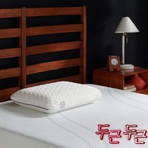 템퍼 템퍼페딕 스탠다드 클라우드 베개