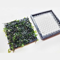 크레피도마네스 캘리컷 모스 활착 음성 수초 키우기 초보 치어 치비 구피 새우 은신처 어항 꾸미기, 현무암 활착