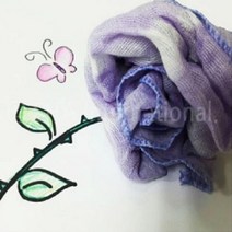 사이언스존 과학키트 자초천연염색 5인용 화학실험세트