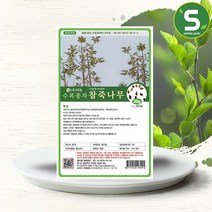 솔림텃밭몰 수목종자 참죽나무씨앗 20g 참죽나무종자 산림 조경, 단품