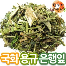 국내산 청혈차재료 까마중(용규) 은행잎 국화 택, 은행잎300g