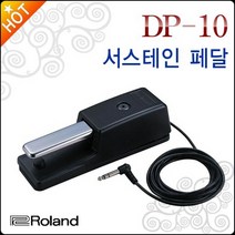 롤랜드dp-10 재구매 높은 제품들
