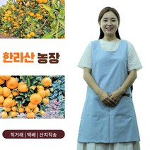 한라산 농장 햇 제주 감귤 10kg 당일수확 농장직송 제주도 밀감, 상세페이지 참조