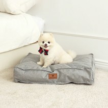 페톰스 멍몬스 도형 반려동물 커버분리형 방석 사각, 그레이