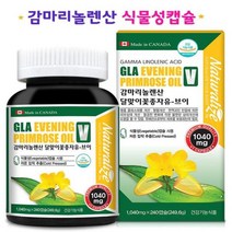 달맞이종자유 감마리놀렌산 달마지꽃 기름 달맞이오일