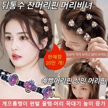 1+1여성 머리핀 머리비녀 게으름뱅이 잔머리핀 뒤통수 잔머리핀 비녀핀 앞머리고정 예쁜머리핀 성인 머리핀 머리띠 세트
