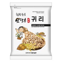 힘찬농부오달봉 2022년산 햇곡 귀리 국산 귀리쌀 오트밀 통귀리 국내산, 1포, 국산 귀리 4kg(2kgx2)